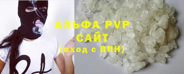 ГАЛЛЮЦИНОГЕННЫЕ ГРИБЫ Михайлов