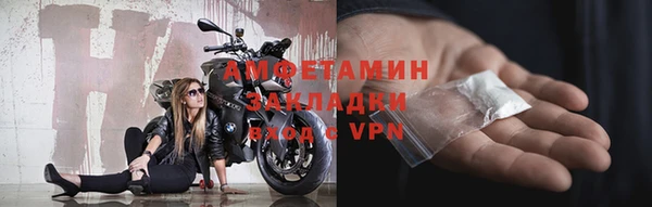 ГАЛЛЮЦИНОГЕННЫЕ ГРИБЫ Михайлов