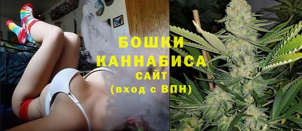 крисы Наволоки