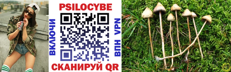 Галлюциногенные грибы Psilocybe Исилькуль